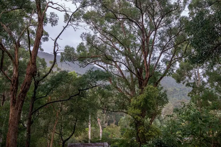 Fifth view of Homely land listing, 30 William Crescent, Millgrove VIC 3799