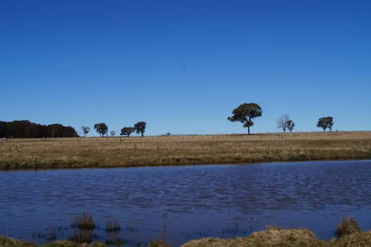Sixth view of Homely rural property listing, 1350 Wards Mistake Road, Guyra NSW 2365