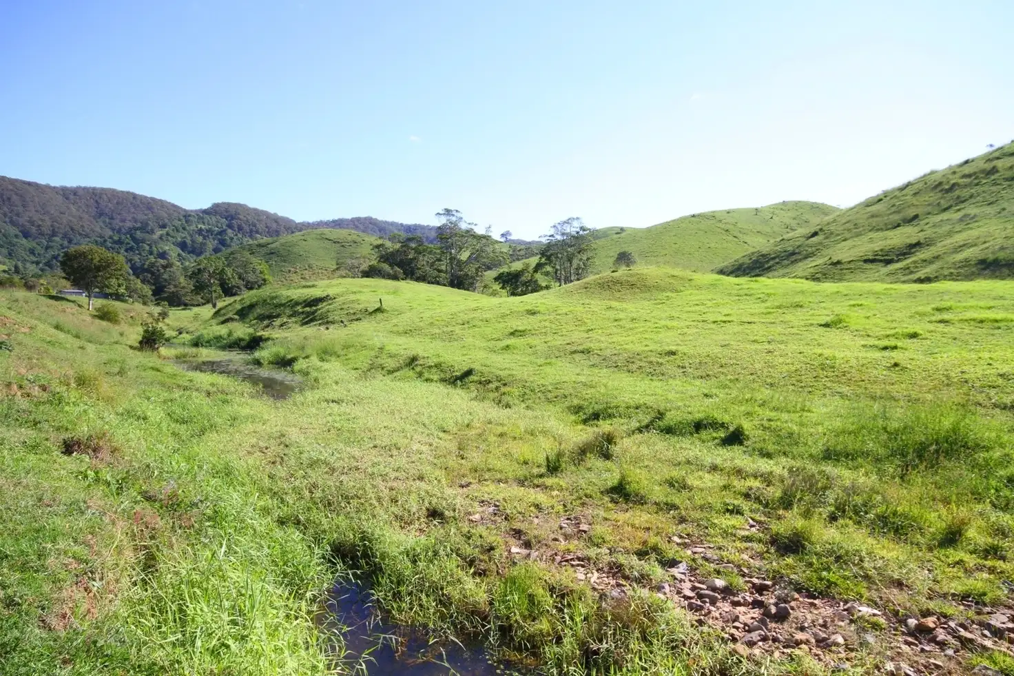 Main view of Homely rural property listing, 350 Upper Pinbarren Creek Road, Pinbarren QLD 4568