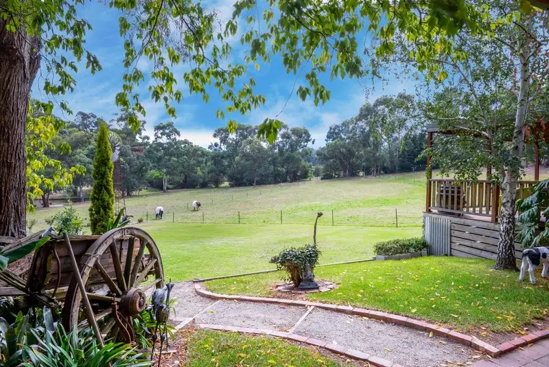 Main view of Homely house listing, 15 Williams Road, Don Valley VIC 3139