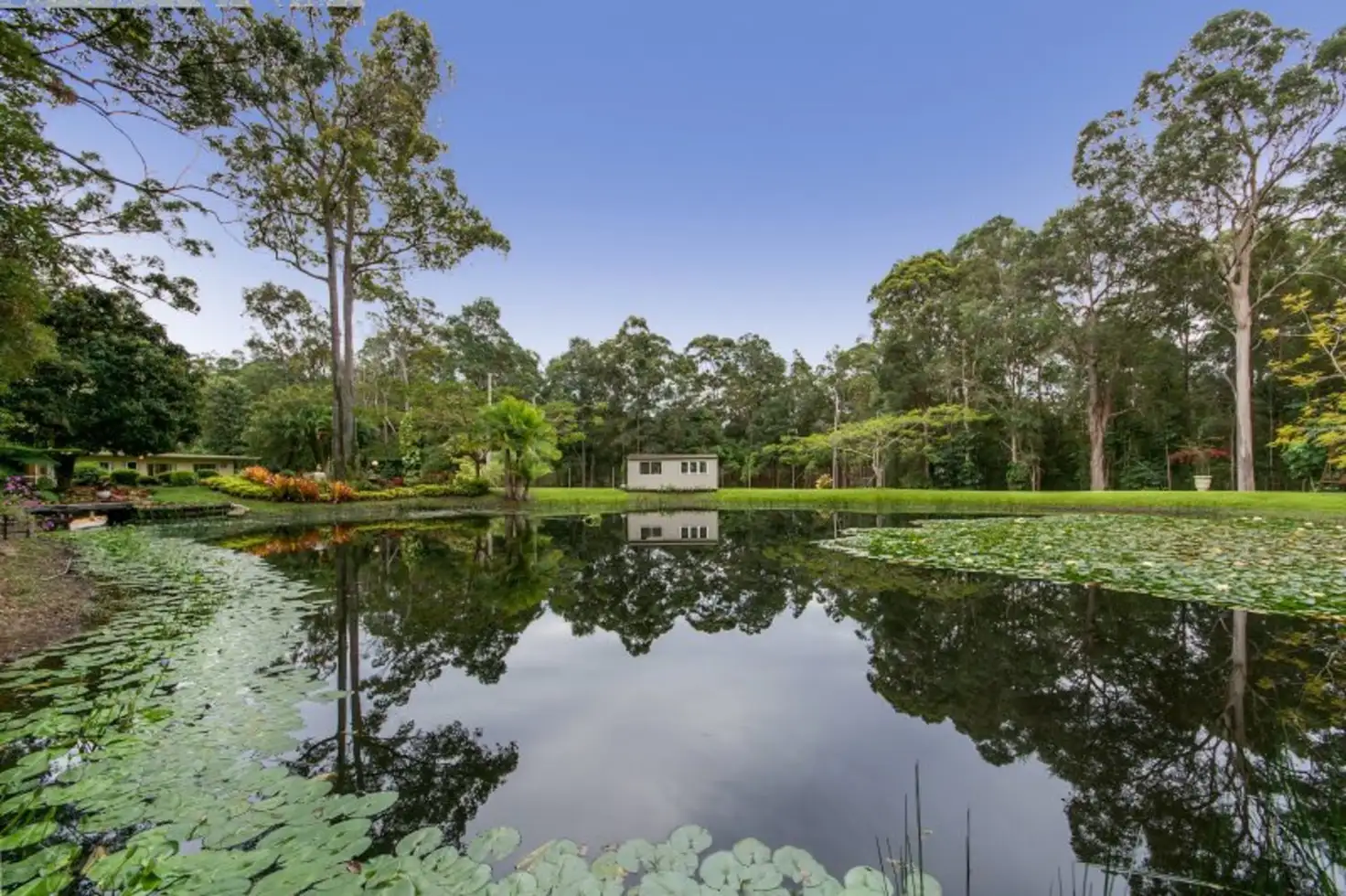 Main view of Homely rural property listing, 119 Creightons Road, Yandina QLD 4561