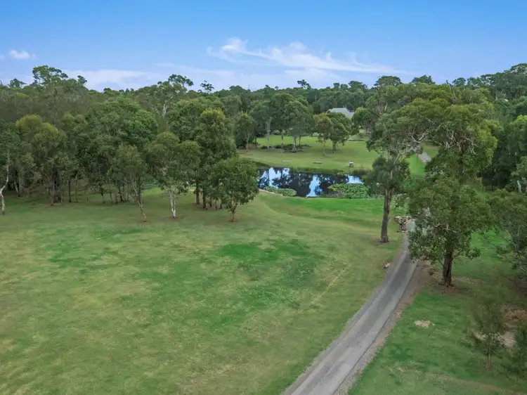 Third view of Homely rural property listing, 143 Butterwick Road, Woodville NSW 2321