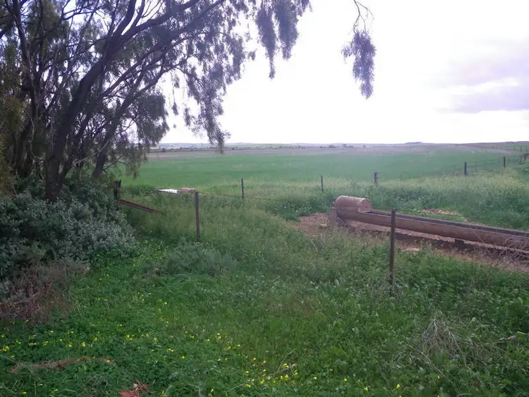 Main view of Homely rural property listing, Gladstone Caltowie Road, Gladstone SA 5473