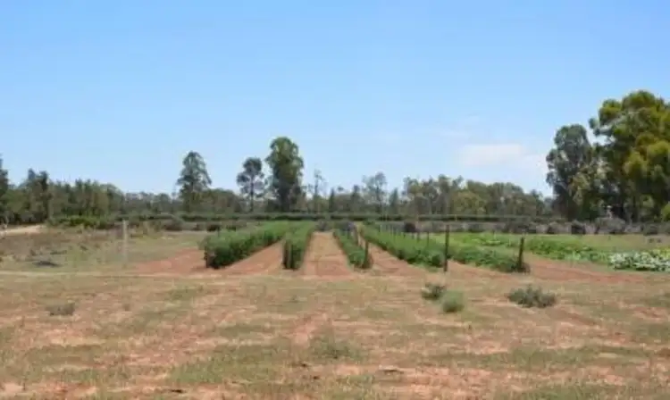 Lot 111 Pitman Avenue, Gol Gol NSW 2738