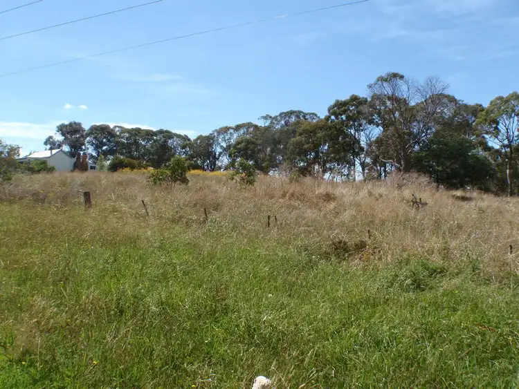 239 Sandon Street, Guyra NSW 2365