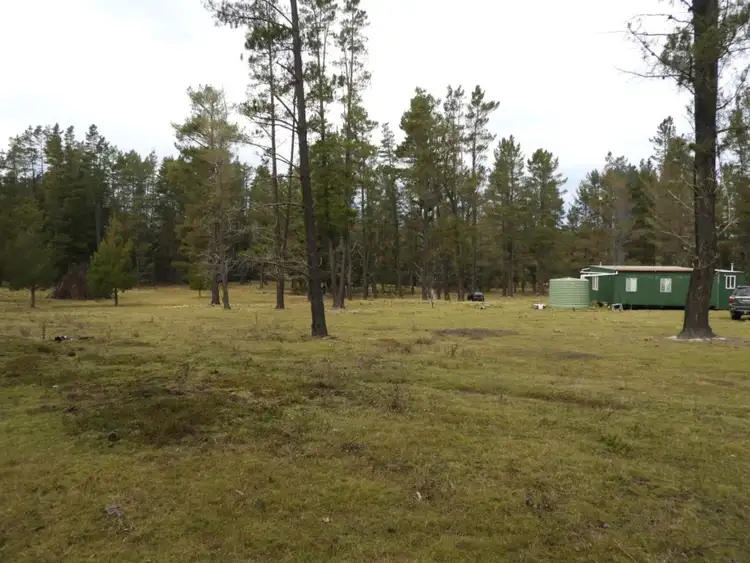 Fourth view of Homely rural property listing, 8422 Nerriga Road, Nerriga NSW 2622