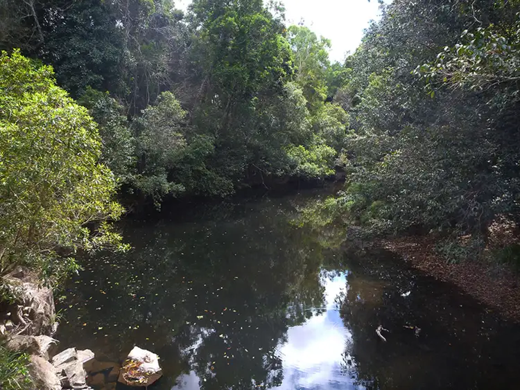 LOT Lot, 170 Fantin Road, Koah QLD 4881
