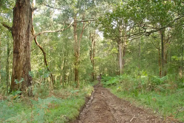 Second view of Homely land listing, 1055 Don Road, Healesville VIC 3777
