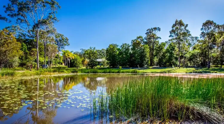 Third view of Homely rural property listing, 265 Counter Road, Wolvi QLD 4570