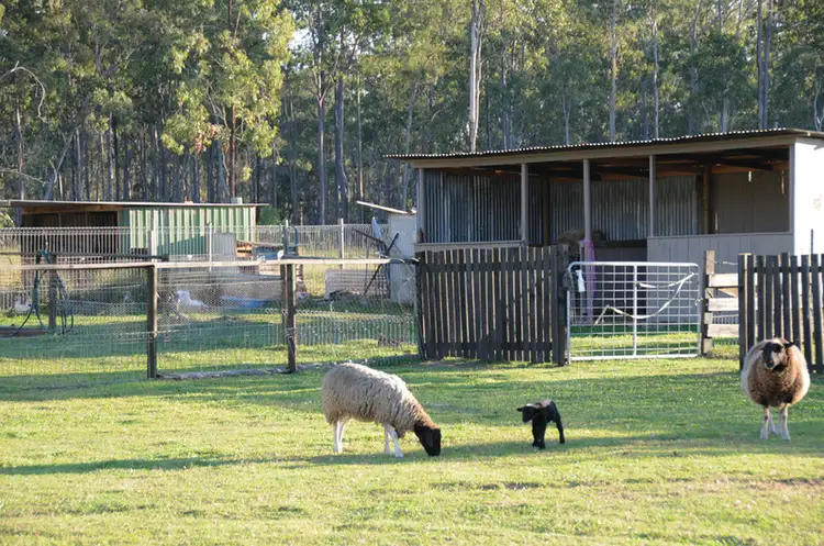 Second view of Homely rural property listing, 111 Wants Road, Lawrence NSW 2460