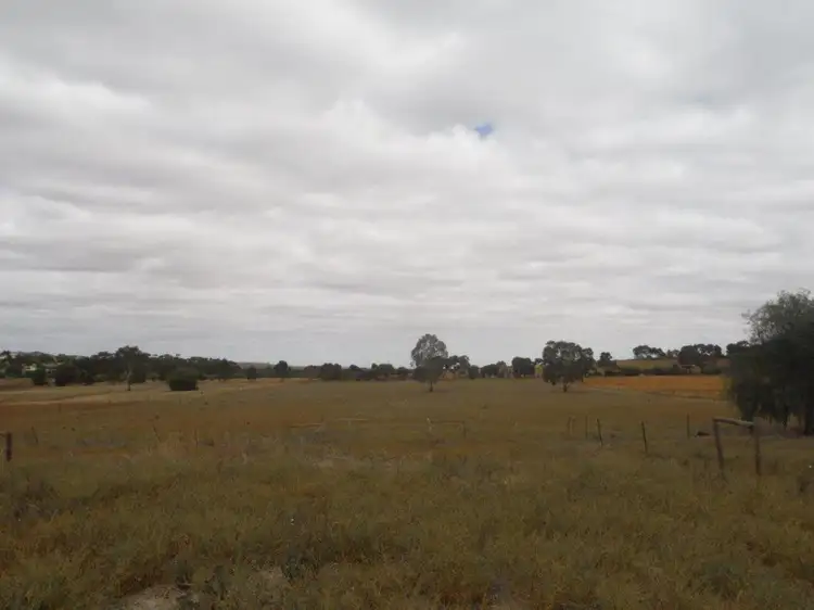 Fifth view of Homely rural property listing, 20 Hancock Road, Kapunda SA 5373
