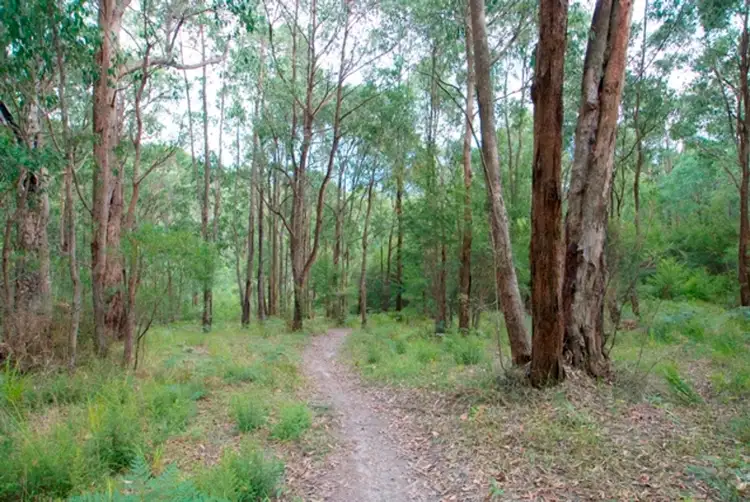 Second view of Homely land listing, 13 Cedar Crescent, Mcmahons Creek VIC 3799