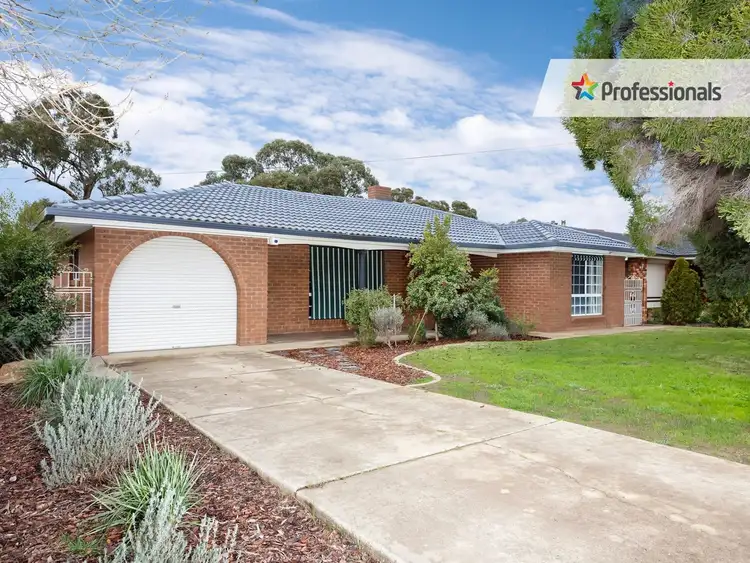 Main view of Homely house listing, 45 Montgomery Street, Ashmont NSW 2650