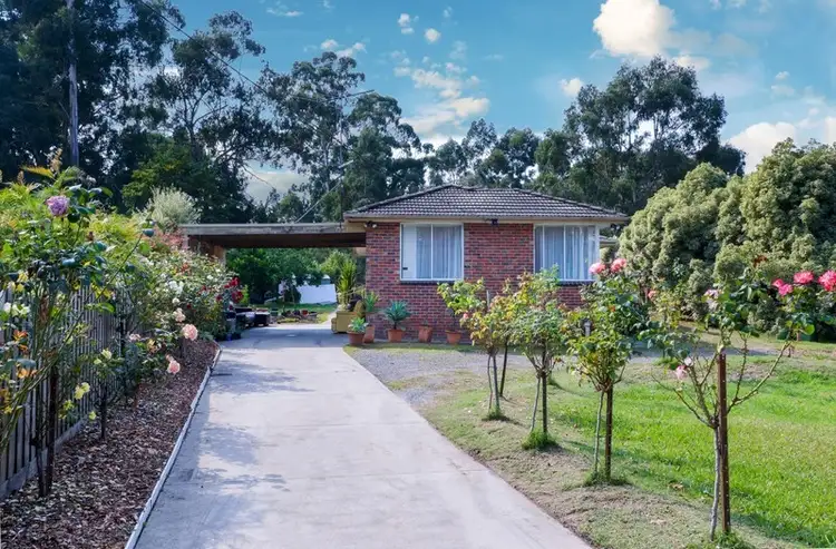 Main view of Homely house listing, 23 Don Road, Healesville VIC 3777