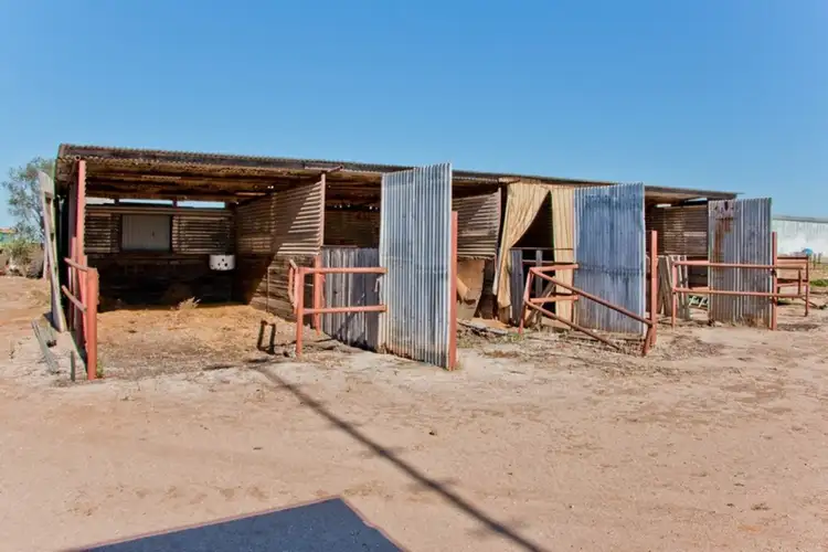 Fifth view of Homely rural property listing, 43 Tozer Road, Waterloo Corner SA 5110