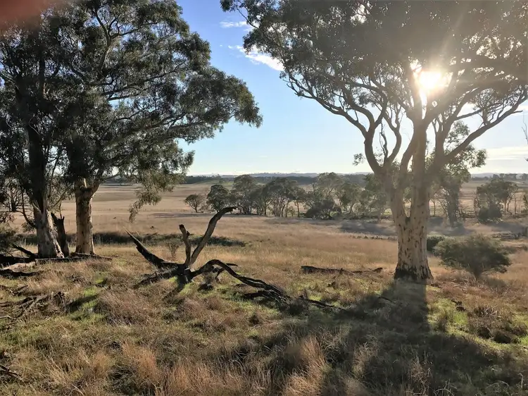 Lot 1 566 Thornford Road, Yarra NSW 2580