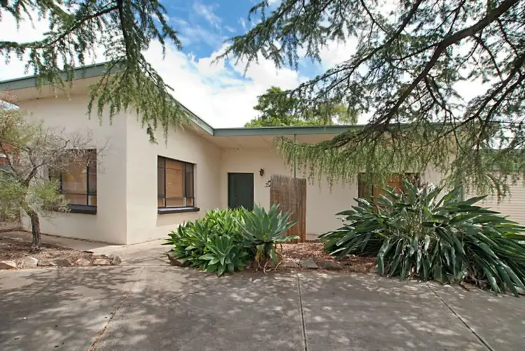 59 Hillsea Avenue, Clearview SA 5085