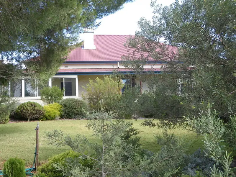 Main view of Homely rural property listing, Lot 12 Canowie Belt, Jamestown SA 5491