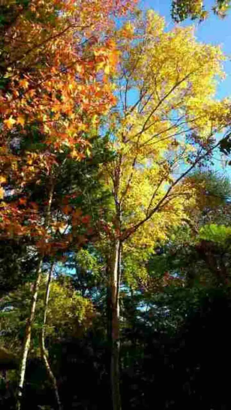 Third view of Homely rural property listing, 210 Enterprise Road, Yundi SA 5172