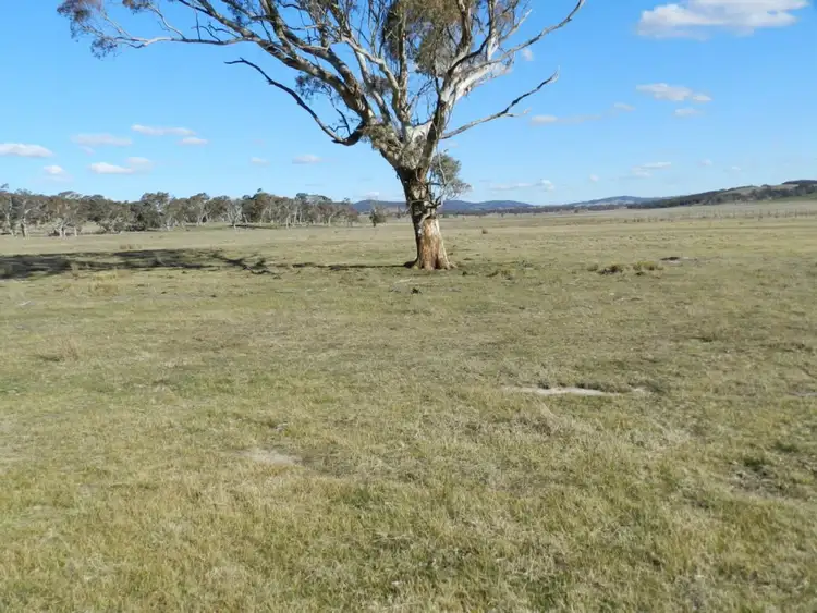 Sixth view of Homely rural property listing, Lot 2 Thornford Road, Goulburn NSW 2580
