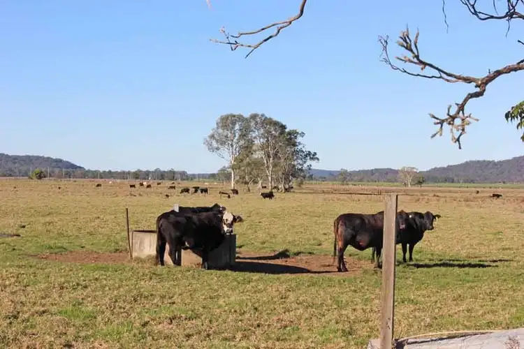 Sixth view of Homely rural property listing, 607 Woodford Dale Road, Brushgrove NSW 2460