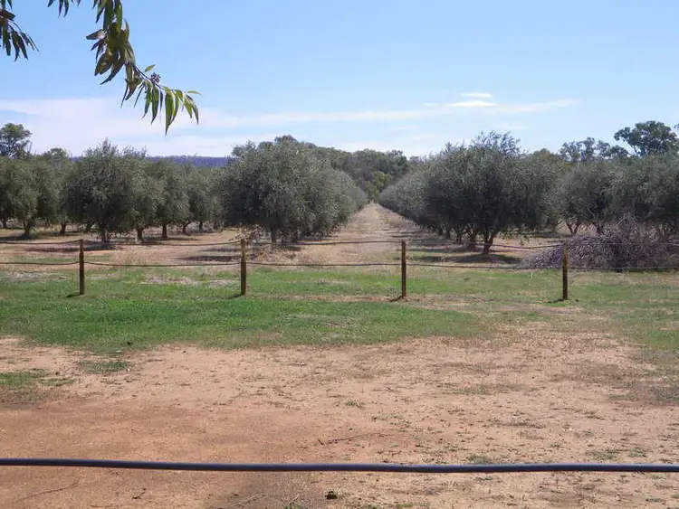 Third view of Homely rural property listing, Lot 101 Stock Route Road, Laura SA 5480