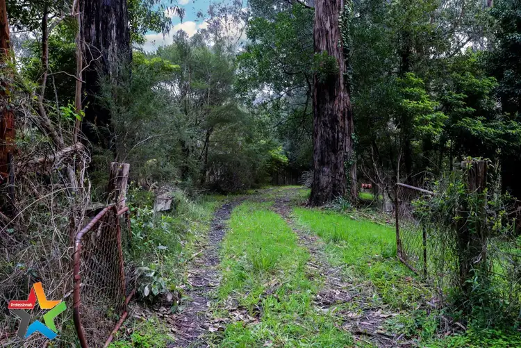 Second view of Homely land listing, 6 River Road, Millgrove VIC 3799