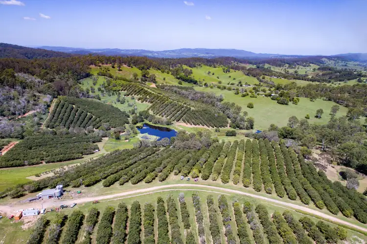 Main view of Homely rural property listing, 502 Gate Road, Canina QLD 4570