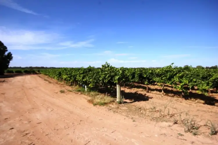 Fifth view of Homely rural property listing, 237 Seventh Street Extension, Birdwoodton VIC 3505