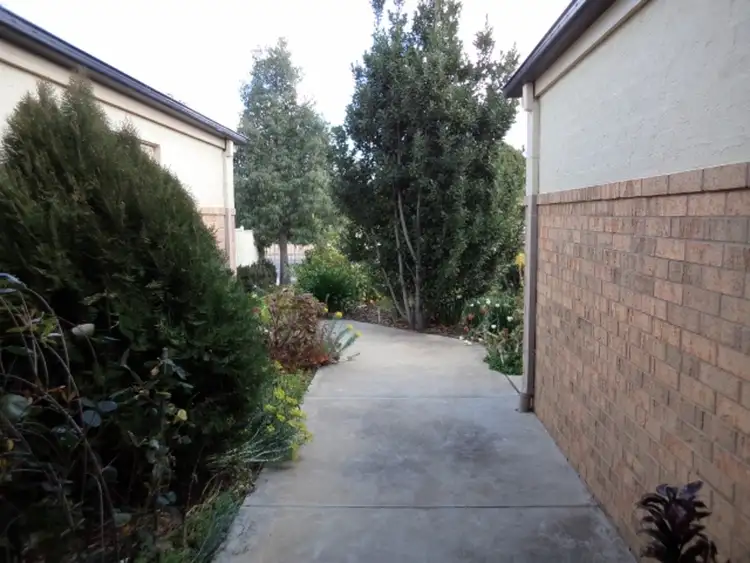 Third view of Homely house listing, 19 Yana Street, Swan Hill VIC 3585