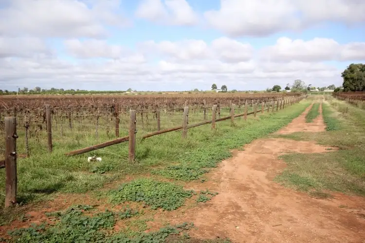 Fifth view of Homely rural property listing, Block 207 Calder Highway, Red Cliffs VIC 3496
