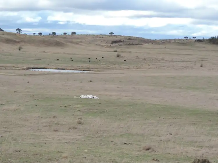 Main view of Homely rural property listing, Lot 2 Oallen Ford Road, Windellama NSW 2580