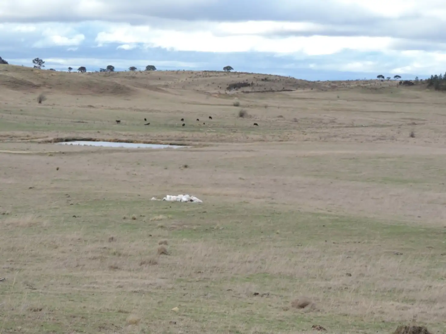 Main view of Homely rural property listing, Lot 2 Oallen Ford Road, Windellama NSW 2580