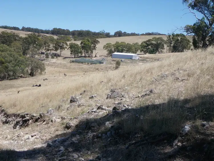 Fourth view of Homely rural property listing, Mills Road, Beetaloo Valley, Laura SA 5480