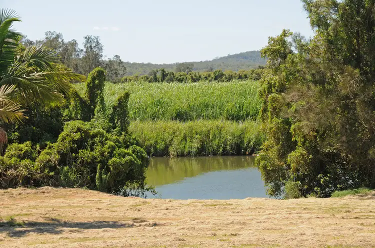 Third view of Homely house listing, 376 Kings Creek Road, Lawrence NSW 2460