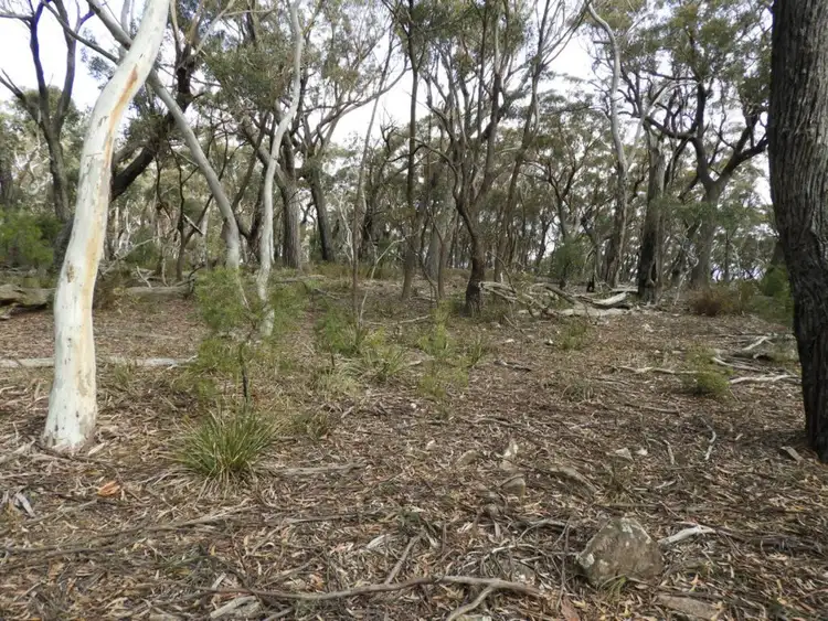 Fourth view of Homely rural property listing, 528 530 Mares Forest Road, Wombeyan Caves NSW 2580