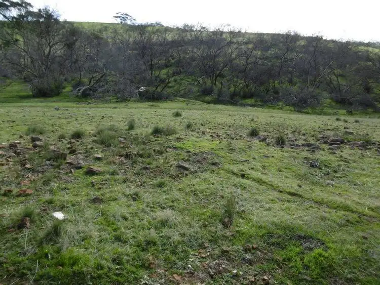 Sixth view of Homely rural property listing, Sec 195 Mills Road, Beetaloo SA 5523