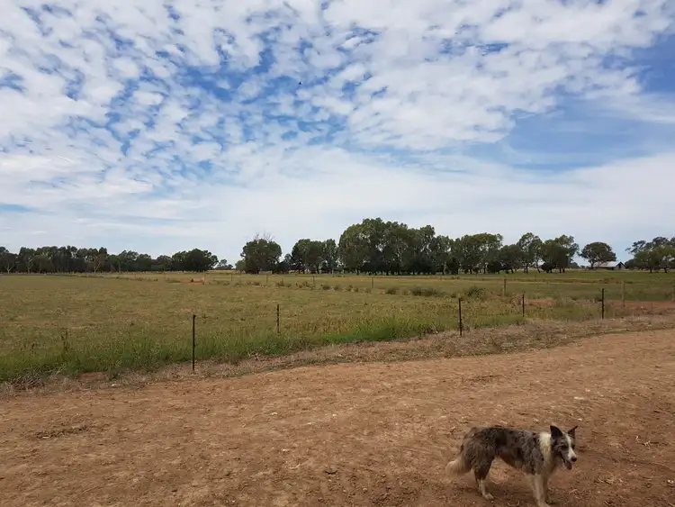 Sixth view of Homely rural property listing, 1307 Boothroyds Road, Numurkah VIC 3636