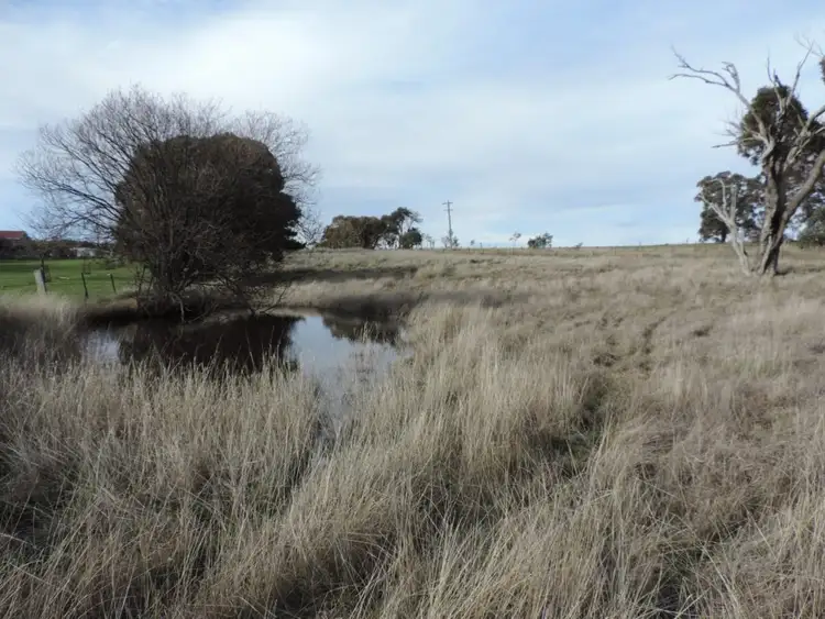 Seventh view of Homely rural property listing, Toronto Kangaloolah Road, Binda NSW 2583