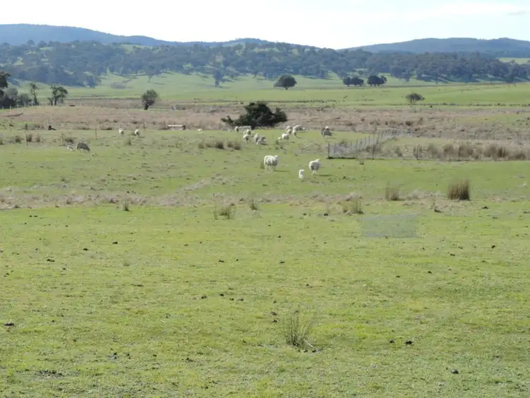 Sixth view of Homely rural property listing, 197 Kangaloolah Road, Binda NSW 2583