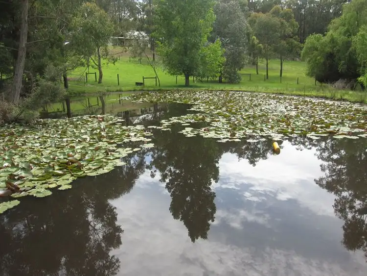 Third view of Homely rural property listing, 19 Wattletree Road, Moe South VIC 3825