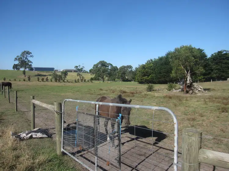 Fifth view of Homely rural property listing, Lot 3/46 King Road, Yinnar VIC 3869