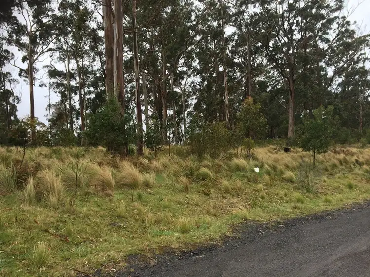 Lot 1 Braidwood Road, Sassafras NSW 2622