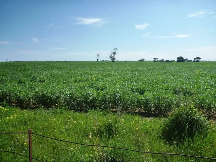 Fourth view of Homely rural property listing, 260 Lake Fowler Road, Coobowie SA 5583