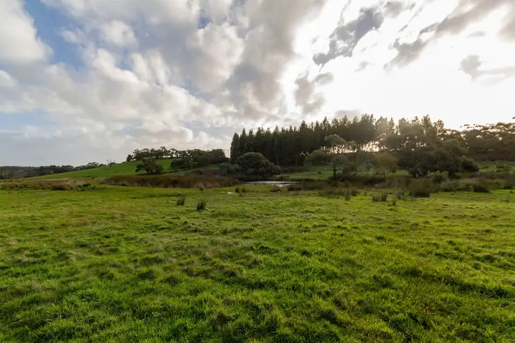 Fourth view of Homely rural property listing, 173 Proctor Road, Hope Forest SA 5172