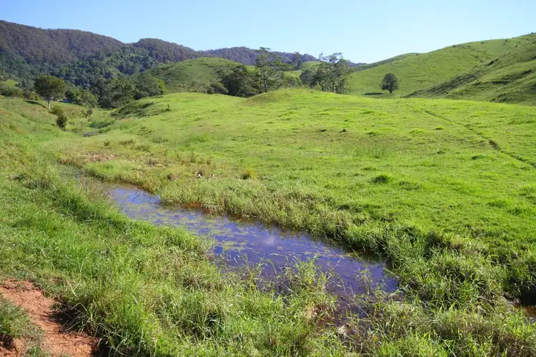 Second view of Homely rural property listing, 350 Upper Pinbarren Creek Road, Pinbarren QLD 4568