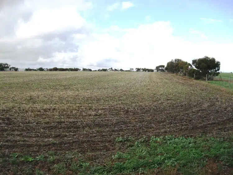 Third view of Homely rural property listing, Lot 20 Ellis Road, Wallaroo SA 5556