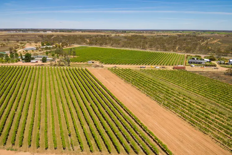 Fifth view of Homely rural property listing, Lot/2 & 3 Dow Avenue, Cabarita VIC 3505