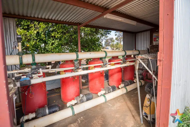 Sixth view of Homely rural property listing, 229 Nursery Ridge Road, Red Cliffs VIC 3496
