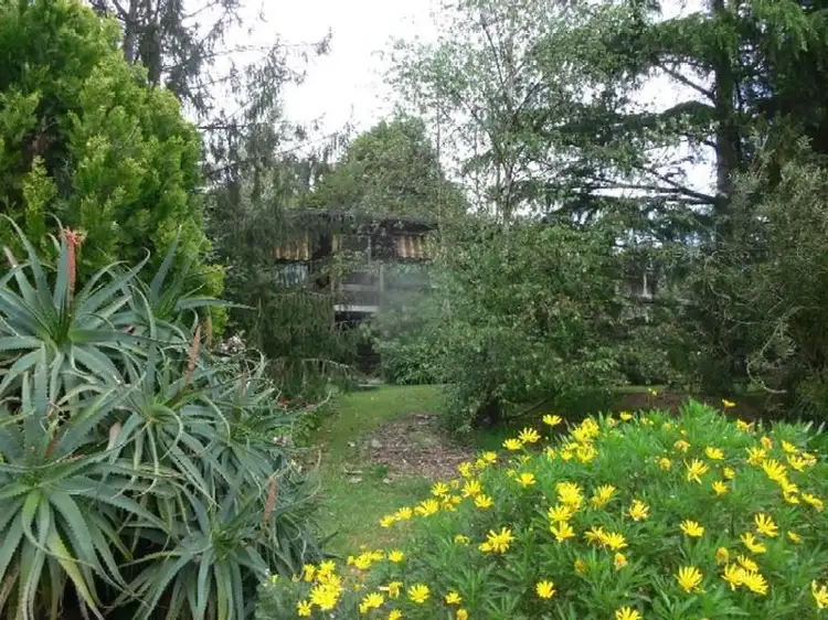 49 Gordon Ave, Montrose VIC 3765
